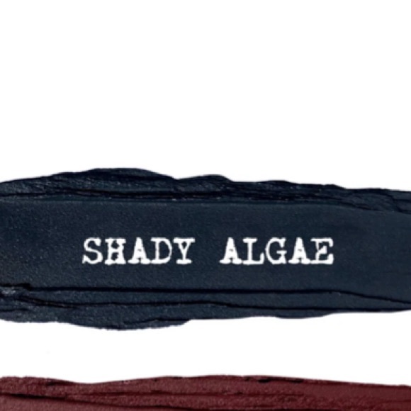 Nudestix Magnetic Eyeshadow Stick in Shady Algae Sealed - Picture 11 of 15